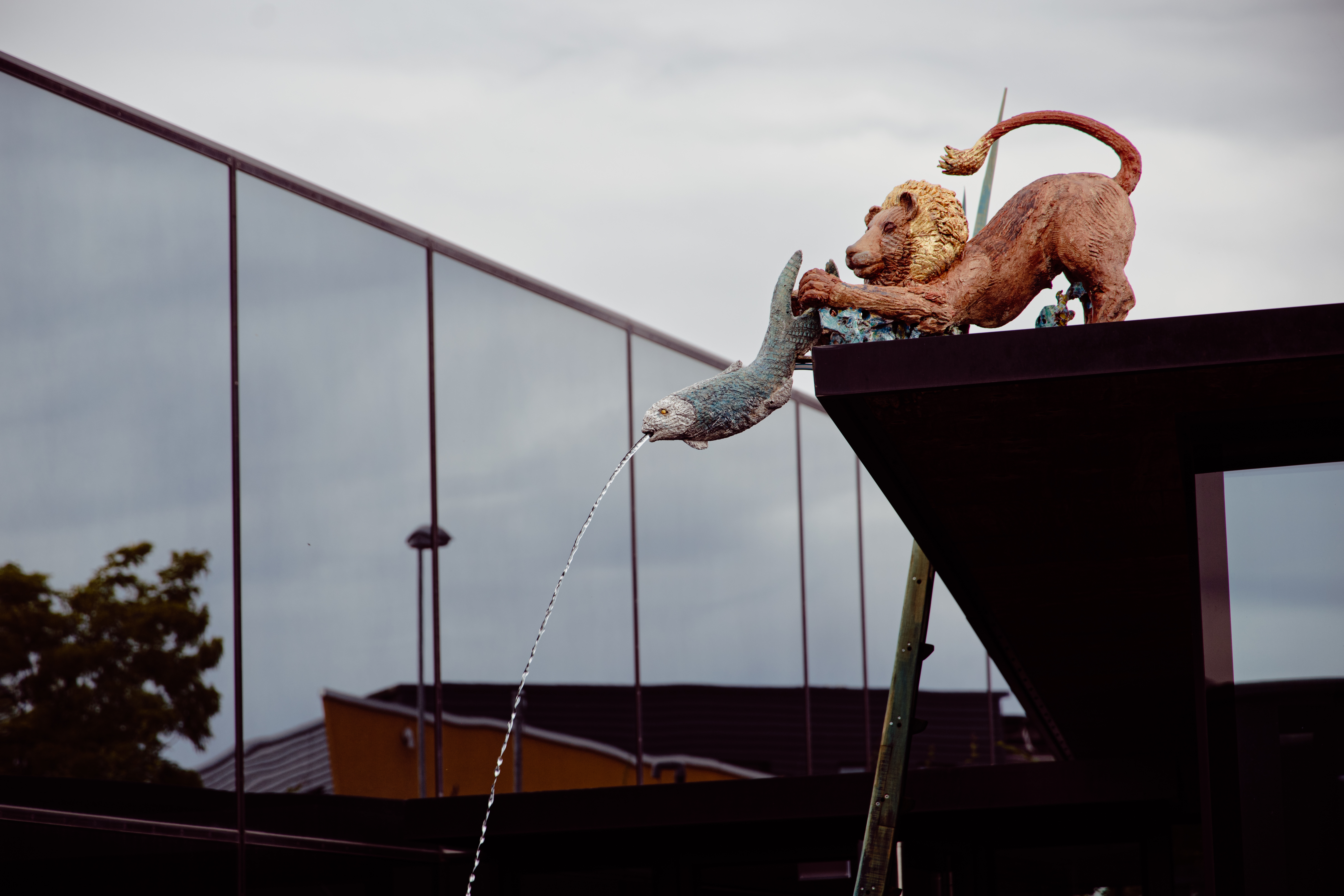 2024 07 06 5Elemente Vernissage 3