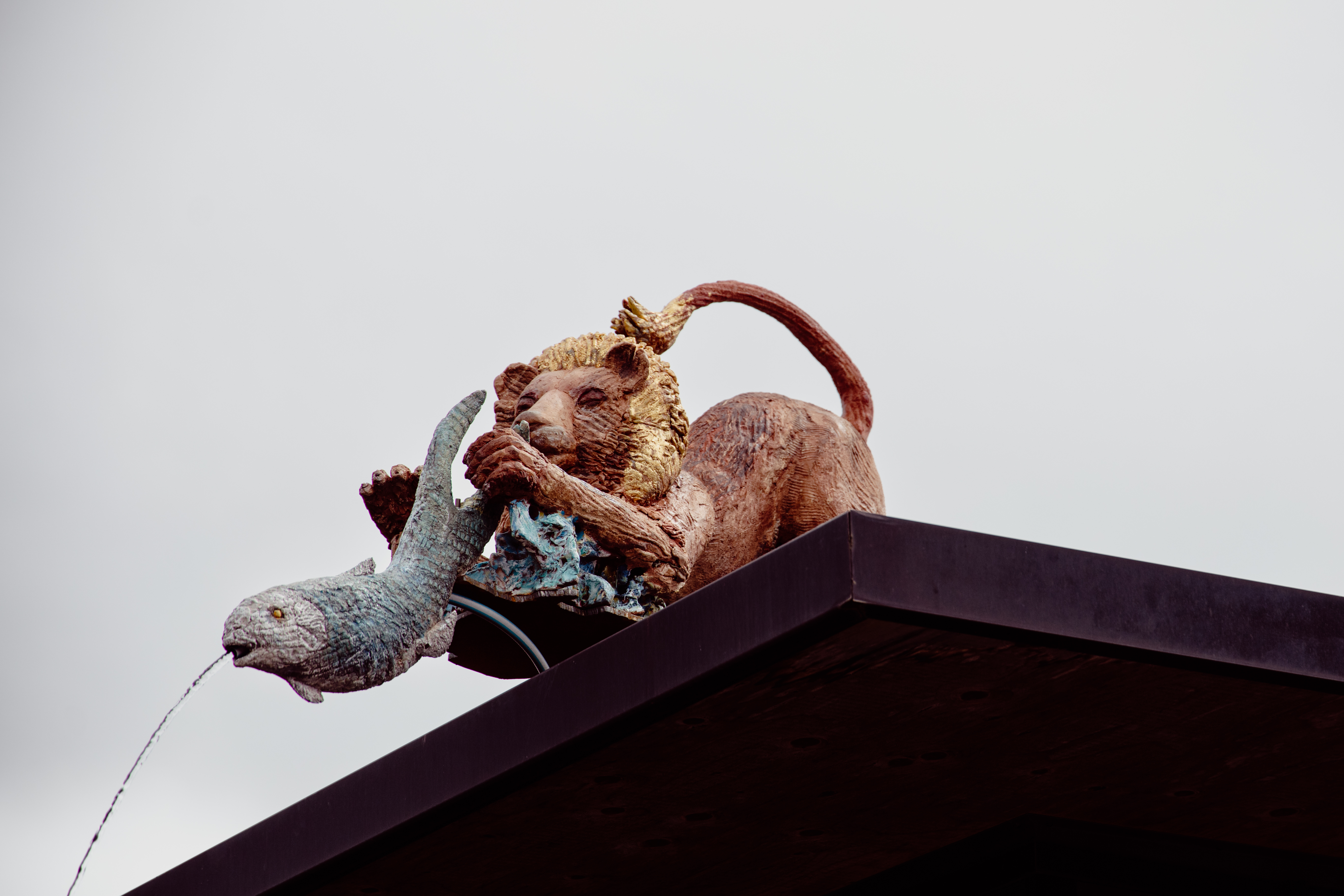 2024 07 06 5Elemente Vernissage 38