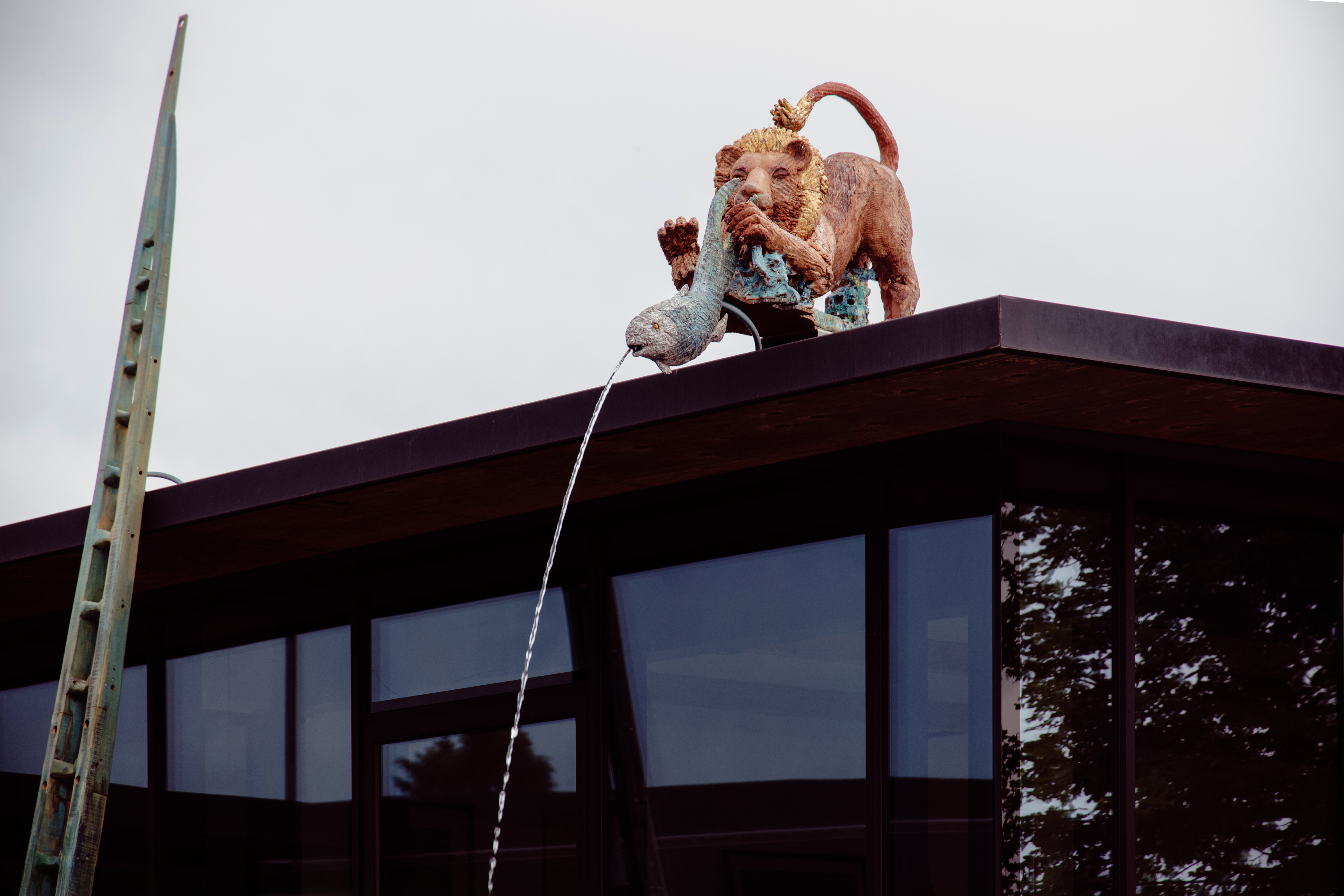 2024 07 06 5Elemente Vernissage 39