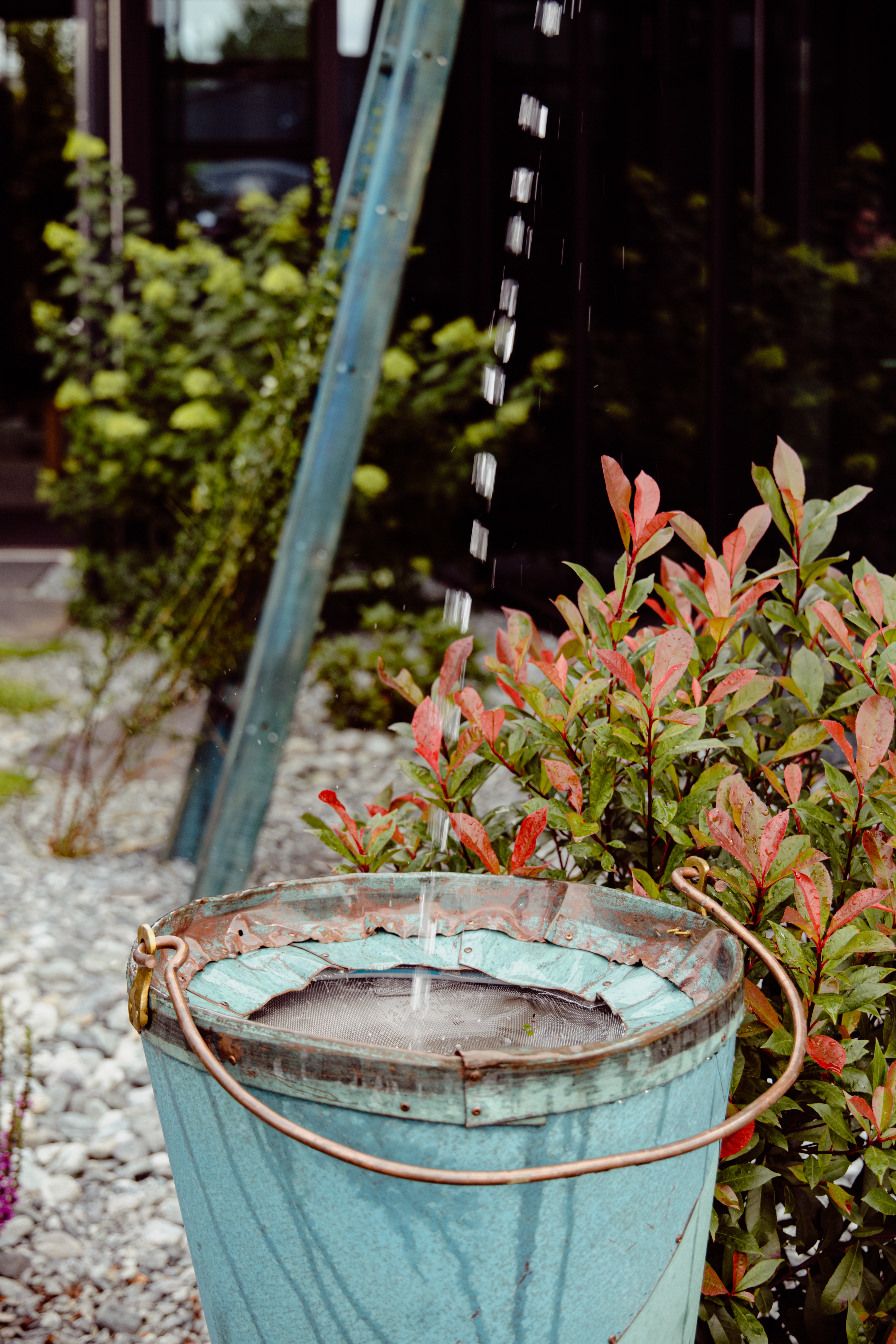 2024 07 06 5Elemente Vernissage 28